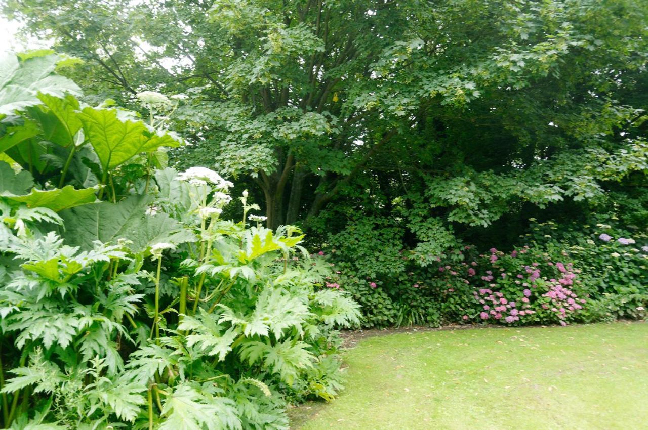 Le Cottage Bordeaux-Saint-Clair Екстер'єр фото